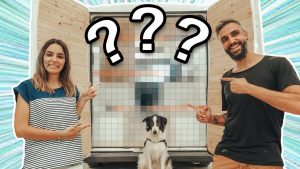 cómo elegir entre coche o furgoneta en Málaga